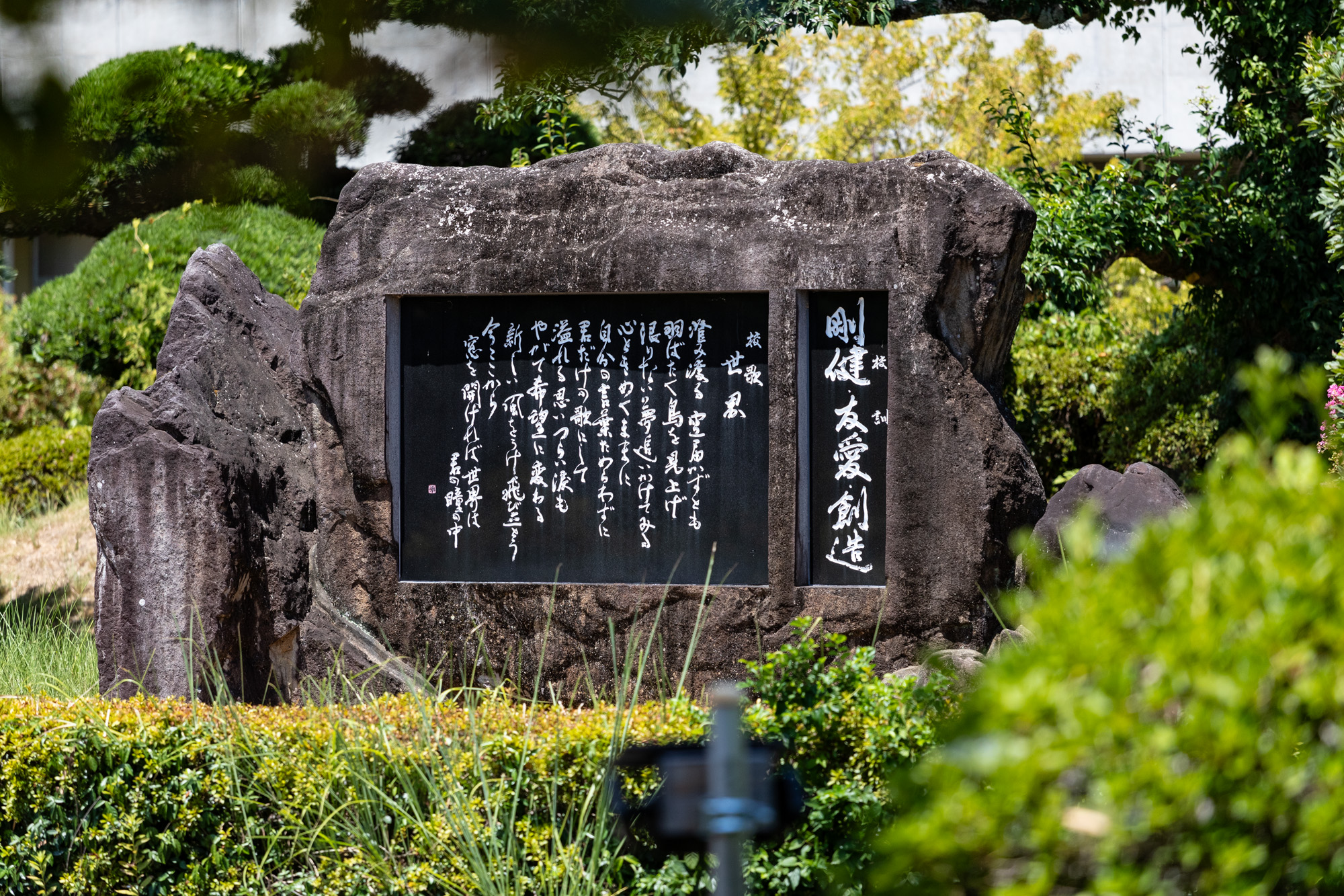 校舎