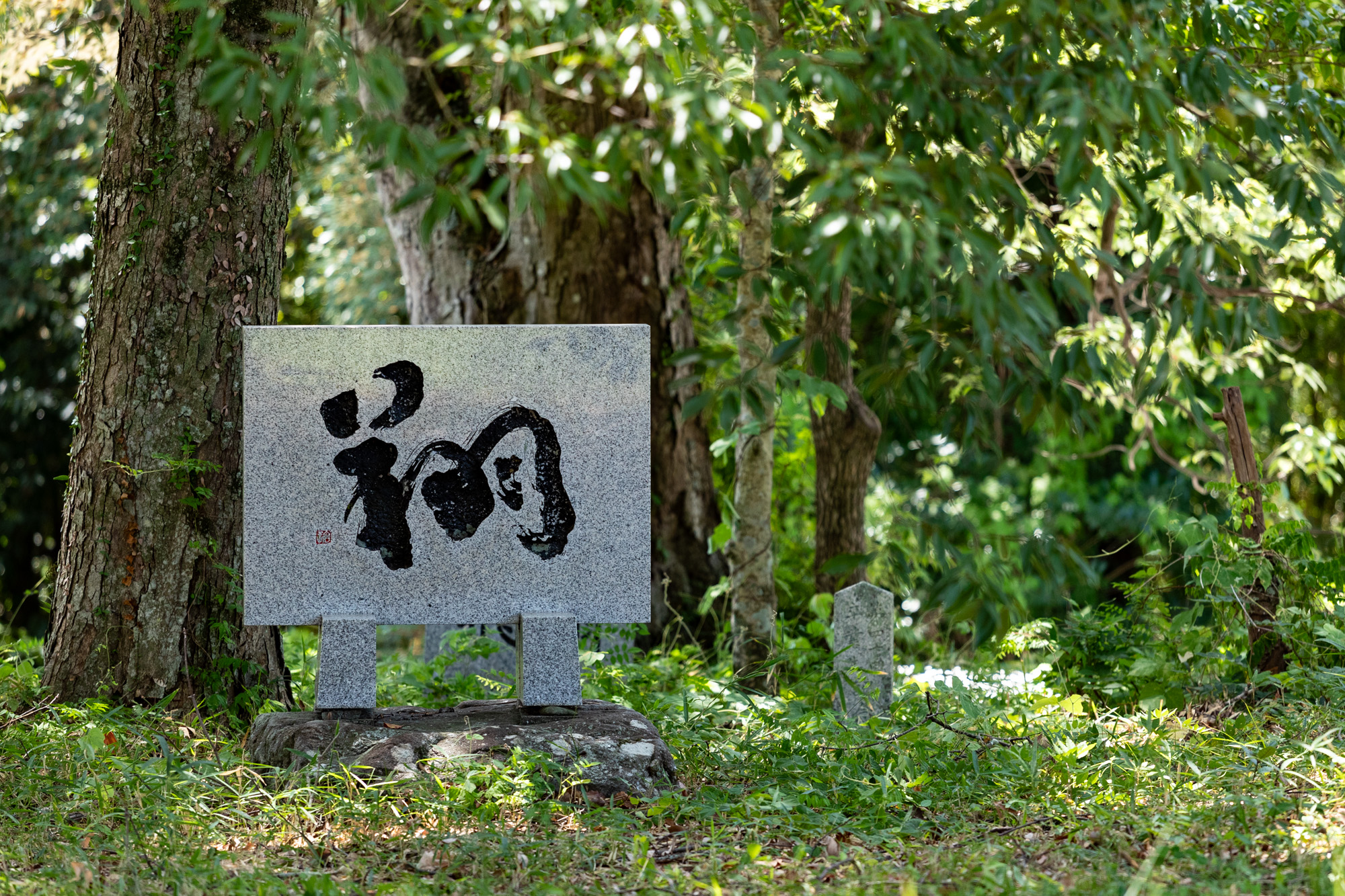 校舎